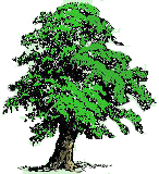 Shade Tree Web Designs logo